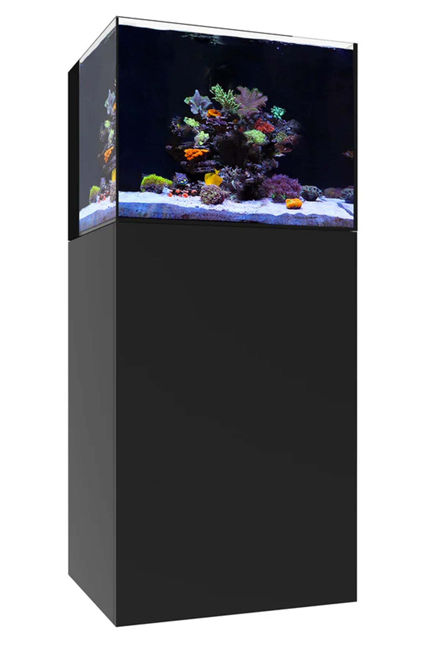 WATERBOX - Nuevo Acuario AIO 35.2 con mueble Negro de 125 litros