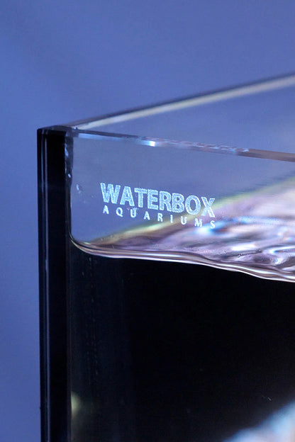 WATERBOX - Nuevo Acuario AIO 50.3 con mueble Blanco de 186 litros