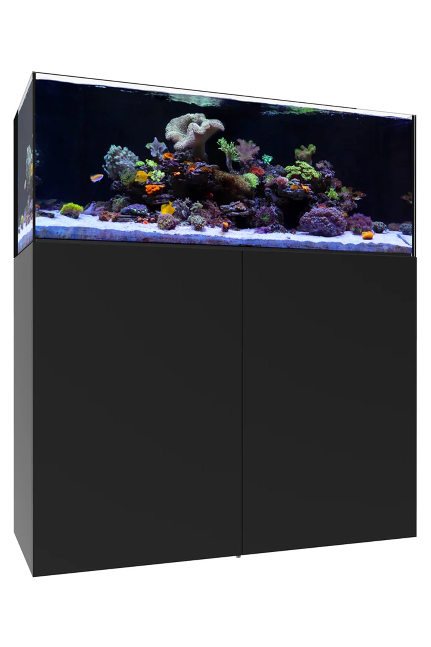 WATERBOX - Nuevo Acuario AIO 65.4 con mueble Negro de 249 litros