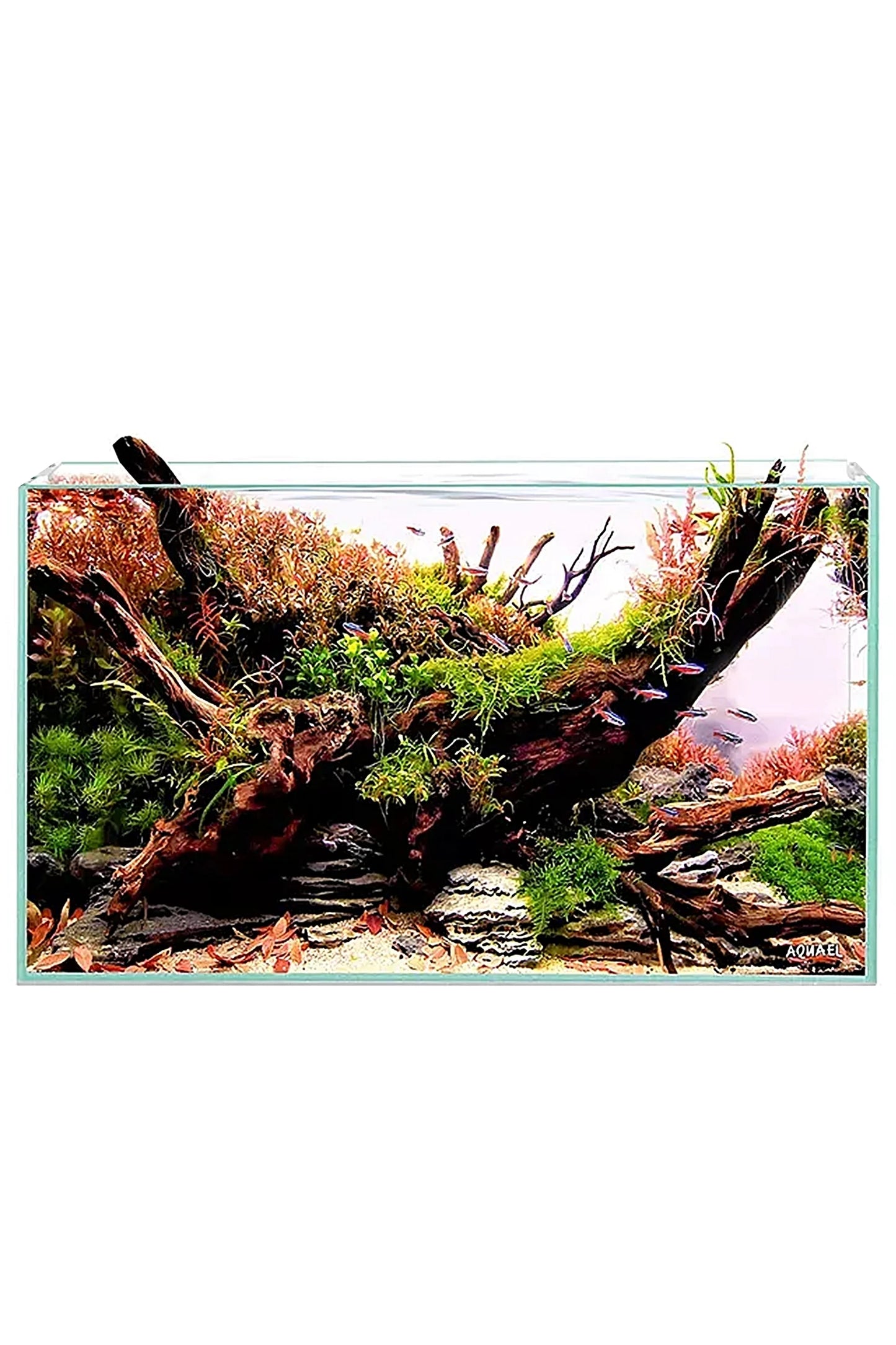 Opti Tank Scape 60 - Urna de cristal óptico de 65 litros