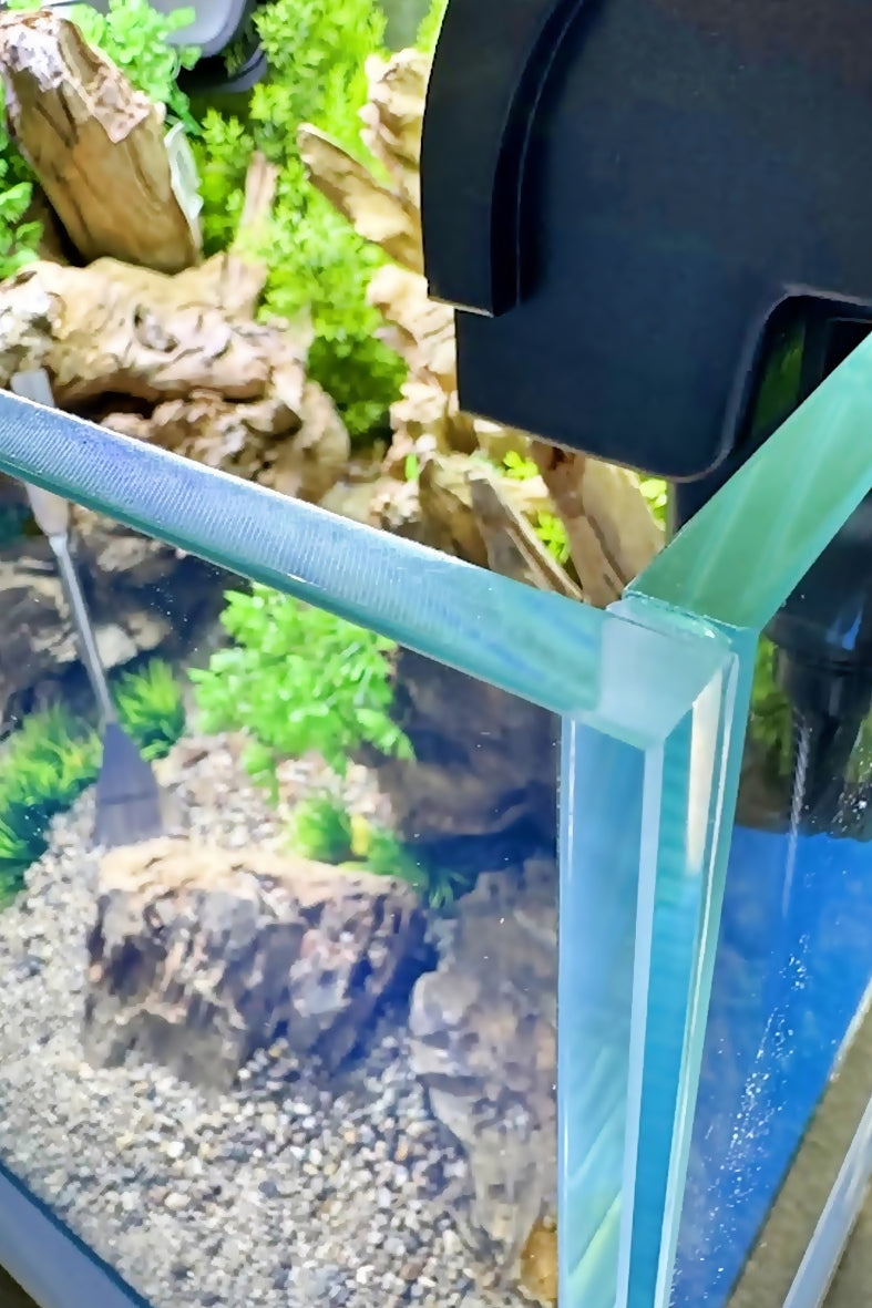 Opti Tank Scape 90 con Stand Blanco - Urna de cristal óptico de 243 litros