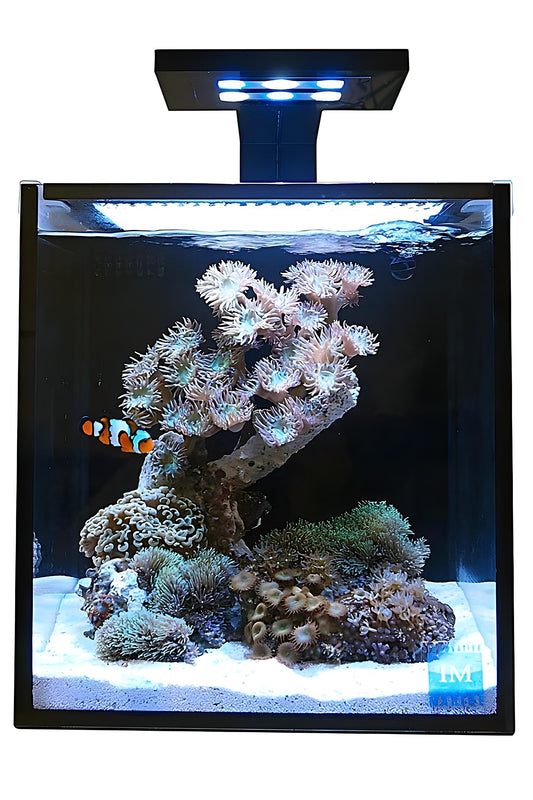 INNOVATIVE MARINE - Acuario Fusion Nano 10 (sin skimmer)