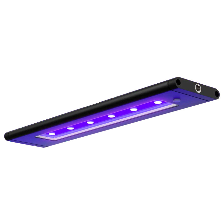 AI - Pantalla LED Blade™ Coral Glow 66" de 1677 mm