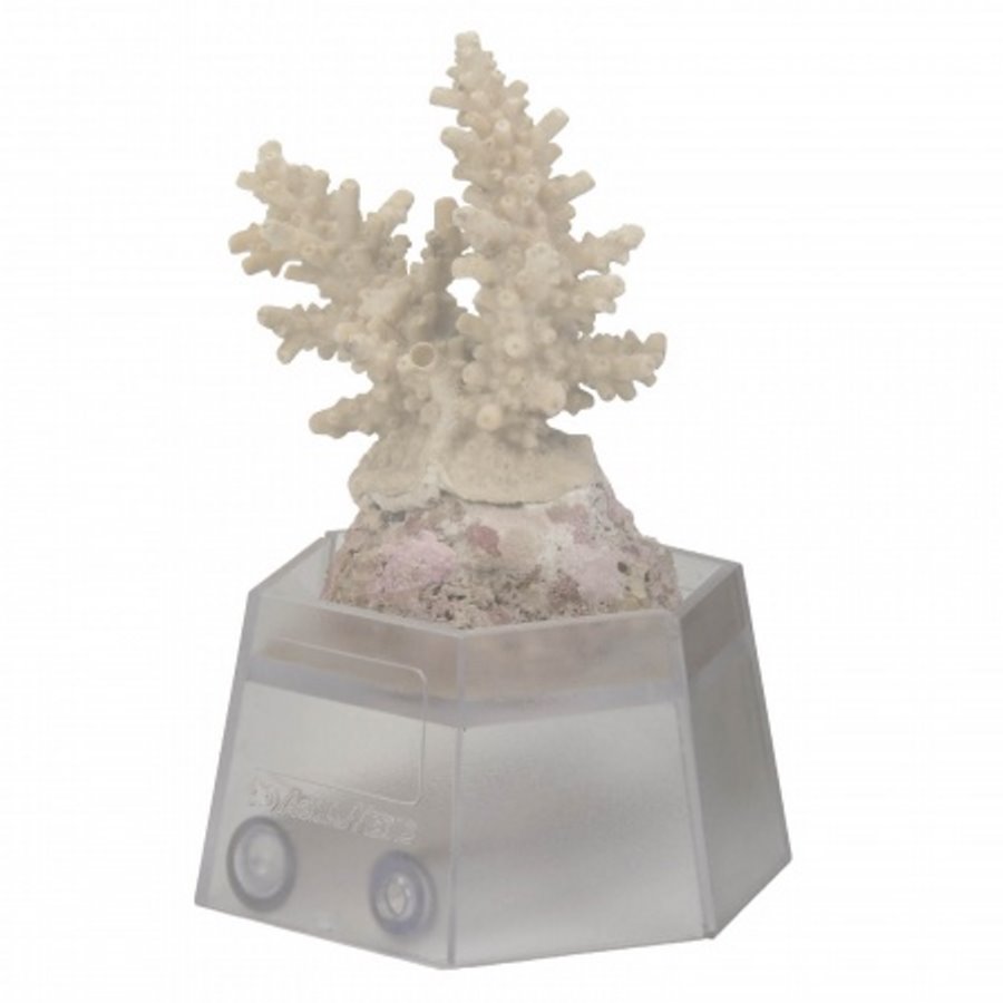 AquaMedic - Coral Holder