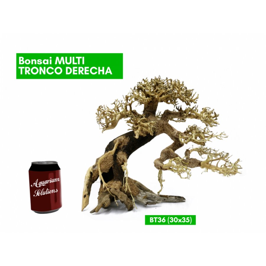 BONSAQUA – Rechter Kaskadenbonsai – Bt36 – 30 x 35 APROx.