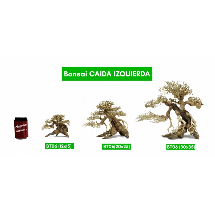 BONSAQUA - Bonsai Caida Izquierda - Bt06 - 12x15 APROx.