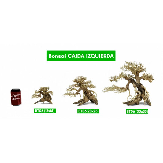 BONSAQUA - Bonsai Caida Izquierda - Bt06 - 12x15 APROx.