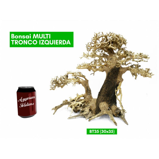 BONSAQUA - Bonsai Multi Tronco Izquierda - Bt35 - 30x35 APROx.