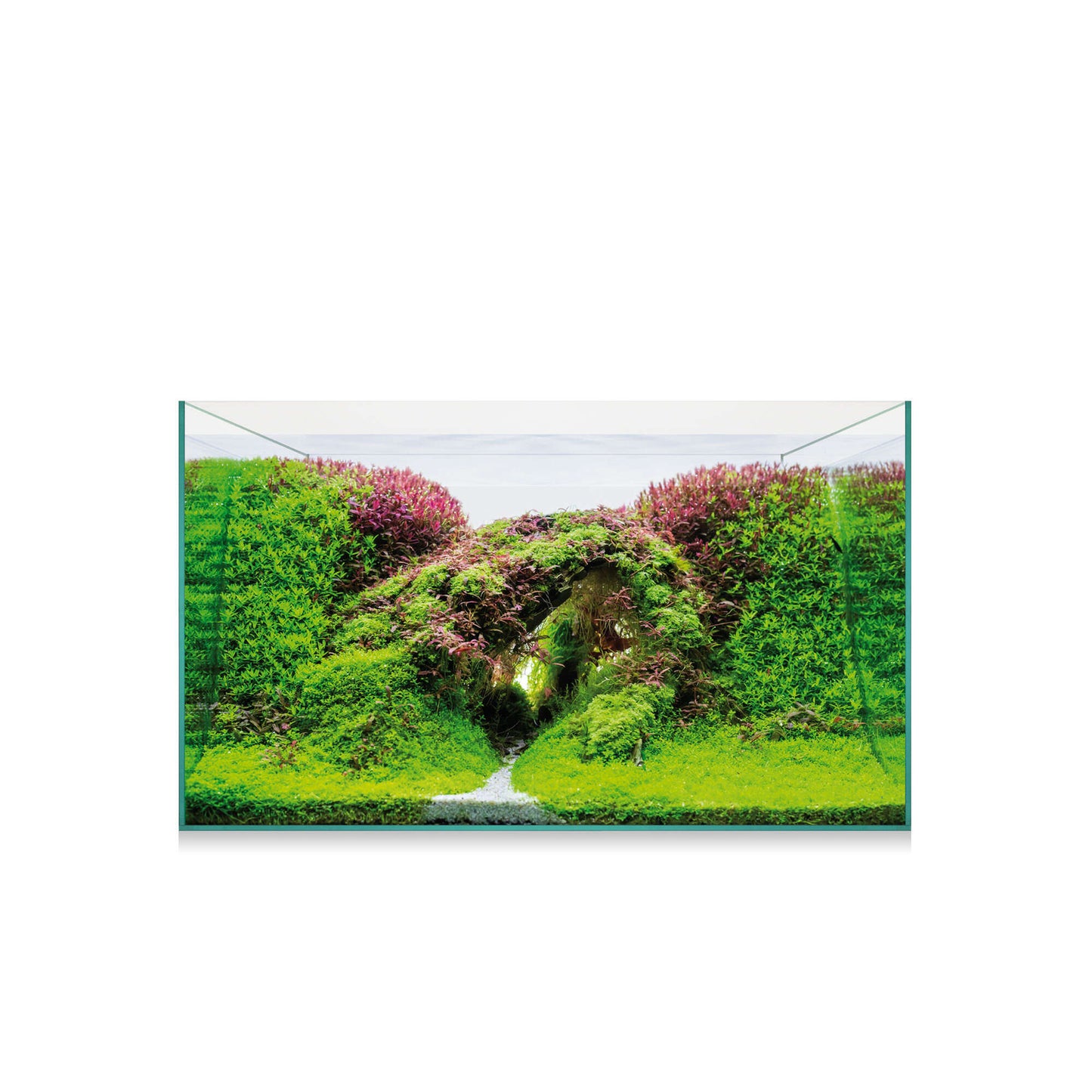 Kit AquaScape 75 de 74 litros