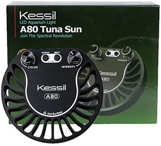 KESSIL - LED A80 Tuna Sun