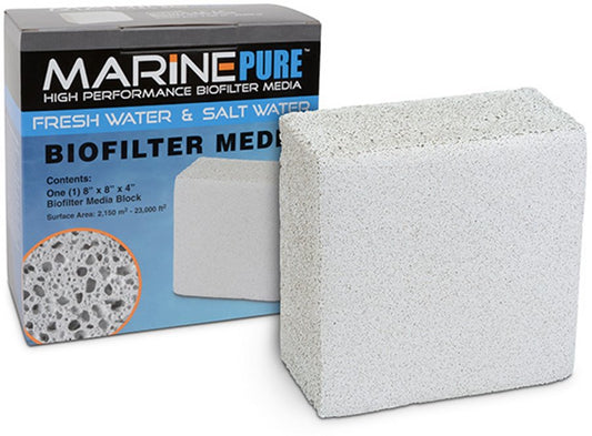 MARINE PURE - Block 20x20x10 Cm.