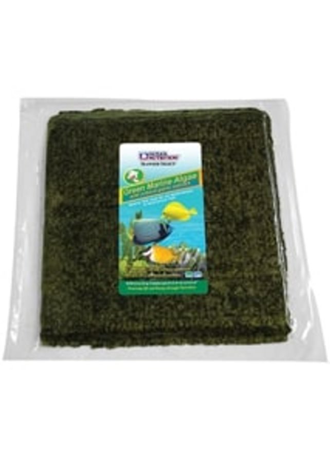 Ocean Nutrition - Bulk Alga Liofilizada 50 H. (Verde)