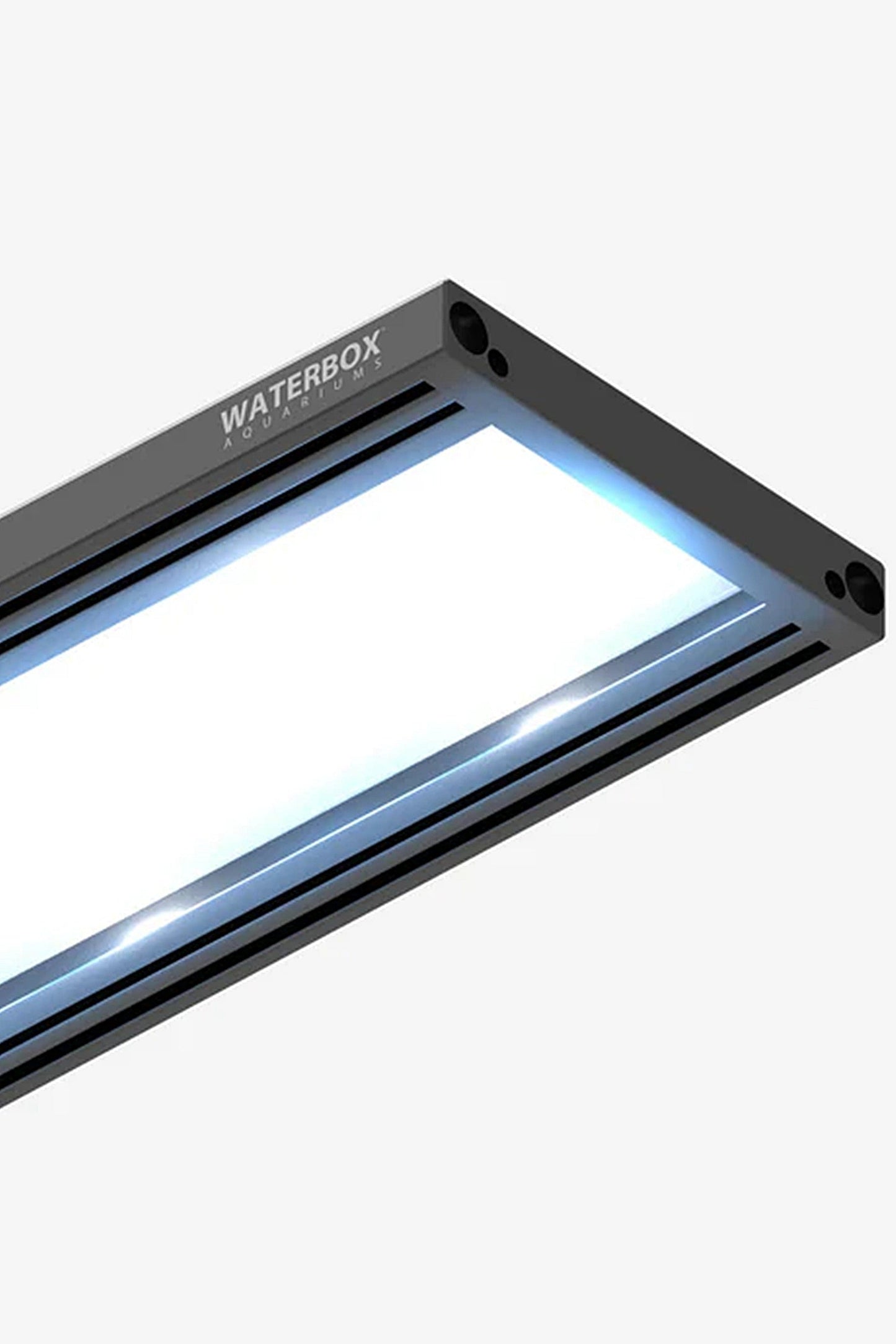 WATERBOX - Nuevo Acuario EDEN-X 80 PENINSULA en Blanco de 302 litros