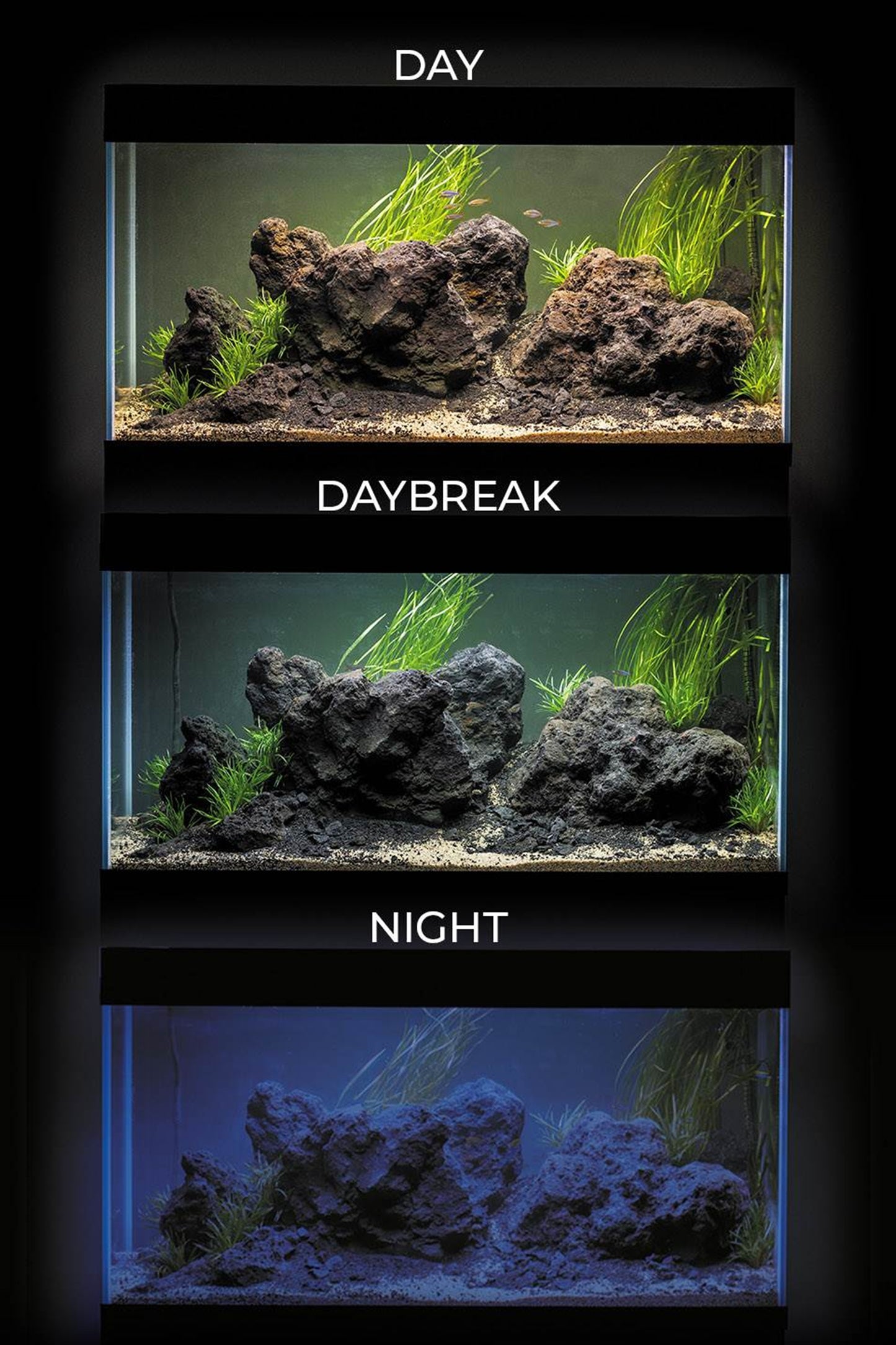 Acuario Optiset 200 litros  con mueble Blanco