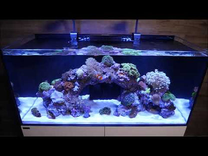 WATERBOX - Acuario MARINE-X 110.4 con mesa Negra - 301 litros